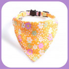 Collar-039